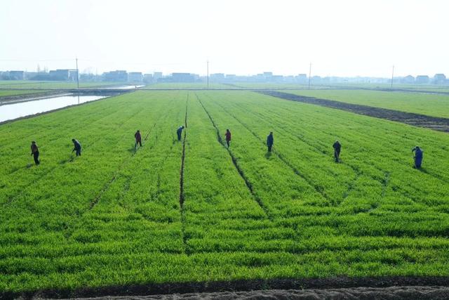 审车需要什么证件，审车需要带什么资料（涉身份证申领、车检、新交通标志......十月新规来了）
