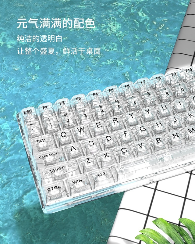 前行者键盘怎么样，前行者键盘评测（适合女生的高颜值键盘有哪些）