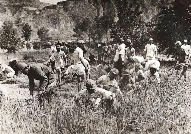 红军过草地是什么地方，爬雪山过草地路线图（红军当年长征走过的草地）