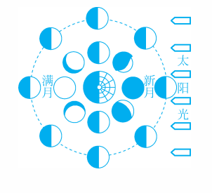 一年有多少个月，一年有几个季度每个季度有个月（为什么一年有365或366天）