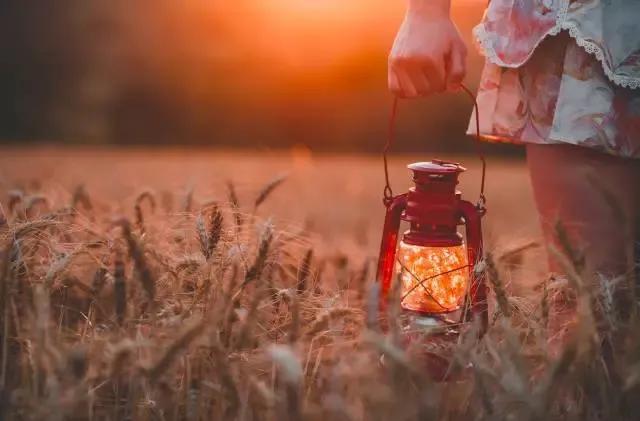 梦到学校是什么寓意 梦到学校代表什么预兆，梦到学校是什么寓意（我们应该创办怎样的大学）