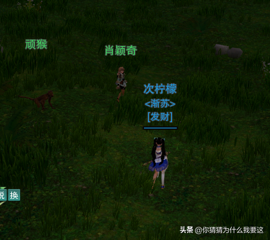 剑网3怎么挖宝，剑三怎么挖宝（重制版剑网3丐帮门派宠物攻略）