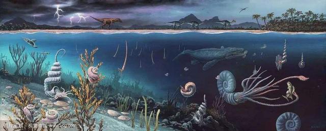 人类起源于多少年前，地球46亿年前的样子（第一个“人”是怎么来的）