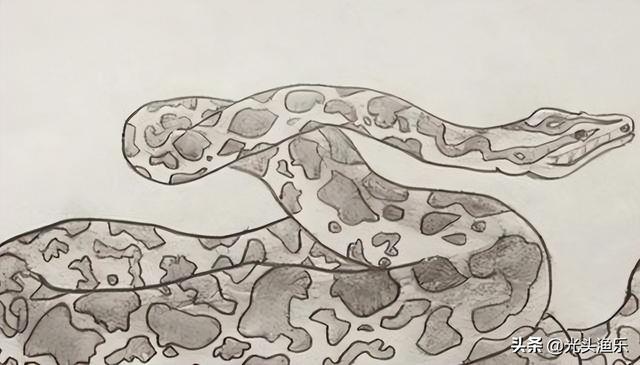 蚺和蟒的区别，2020蟒蛇把一家5口人吃了（老话讲：大蛇为蟒，巨蟒为蚺）