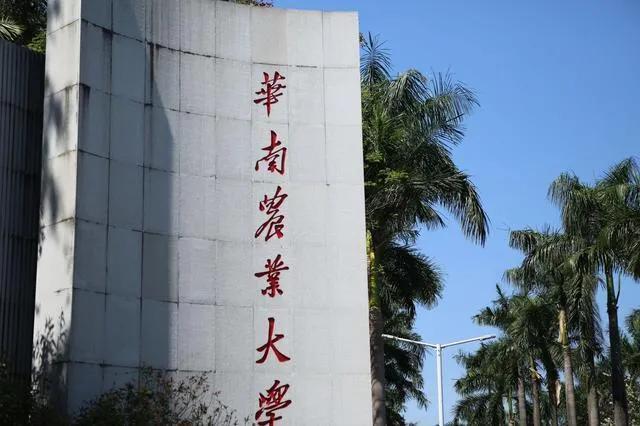 沈阳农业大学电气工程及其自动化怎么样啊，沈阳农业大学有哪些专业和院系（优势专业不及热门专业）