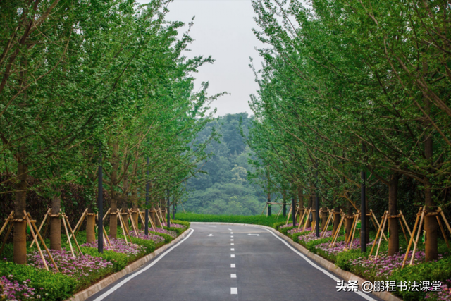 梦见植物是什么征兆，干货丨植物寓意篇