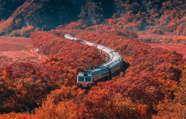 本溪特色美食有哪些，本溪特色美食有哪些小吃（国内唯一媲美北疆的地方）