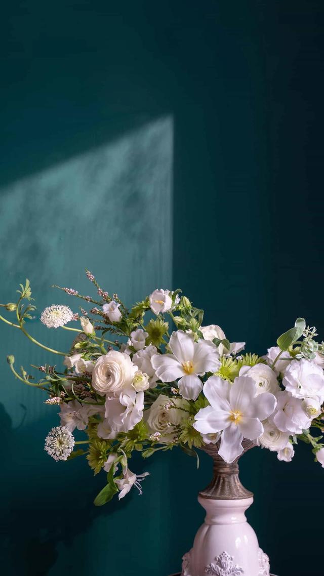 水瓶男和摩羯女，水瓶男摩羯女的爱情（最最宠爱摩羯座的星座）