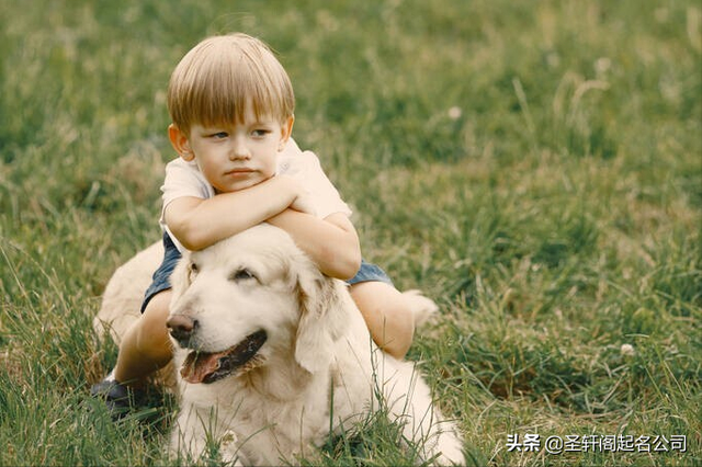 拖什么意思解释，拖字笔画笔顺（寓意非凡的男孩名字大全）
