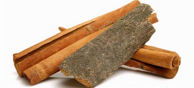 迷迭香是什么，西餐中常用的15种香料和香草（迷迭香是什么时候出的）