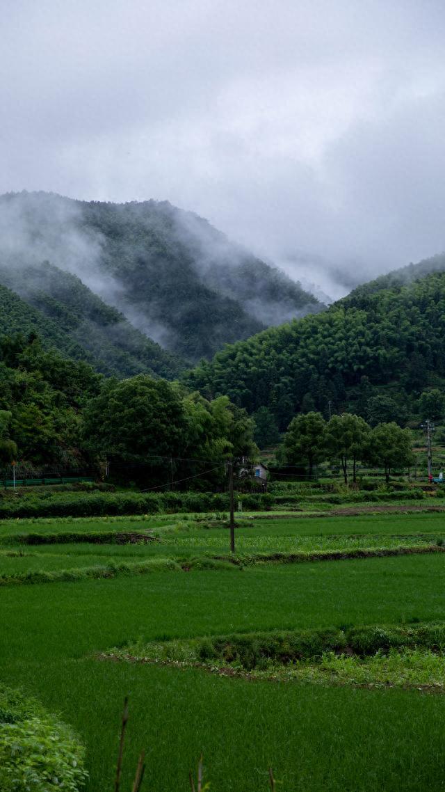 徽州秘境｜自驾圣地黄山太平湖