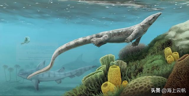 Galactic.微信昵称（银河）网名，Galactic.微信昵称（银河）微信昵称（《圣斗士星矢-海皇篇》海斗士必杀技大全）