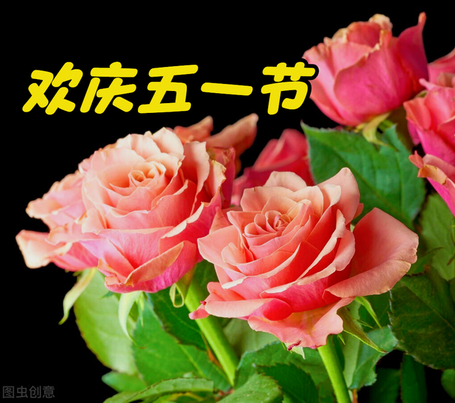 1,一花一祝福,五一劳动节,鲜花送美好,劳动最光荣,幸福好生活