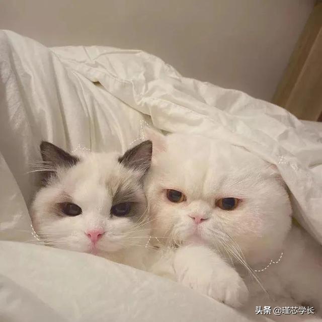 情侣头像刺激一点的，紧张刺激の三人情头no.微信（你们确定不点进来看看吗）