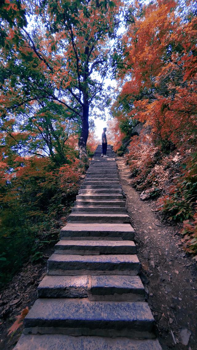 终南山景区介绍，西安终南山纯玩一日最全攻略送给你