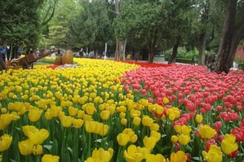 爱海滔滔歌词，爱海滔滔歌词表达什么（女神魏新雨，从百花香里走来）