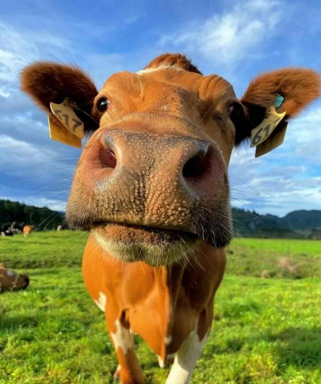 “我有点不开心，微信头像，“我有点不开心，不只一次，不只今天，不只是你”丧系女生头像（所有的不开心就止步于此吧）