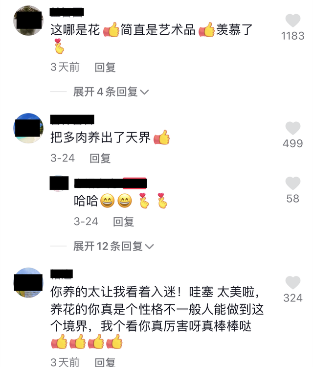 求婚用什么花最好，求婚送什么花合适（花痴男友用多肉植物种出爱心）