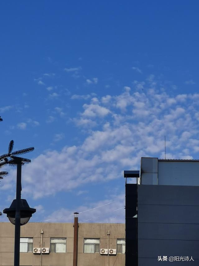 sunshine的意思，youaremysunshine的意思（爱是存在于世上的意义）