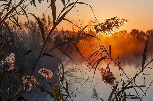 冬天的风的别称，古文古诗词中的绝美雅称