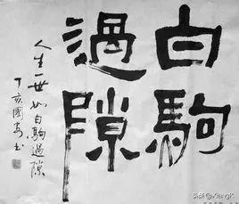 时间过得快的四字成语，表示时间非常短的四字词语（一天一成语：白驹过隙）