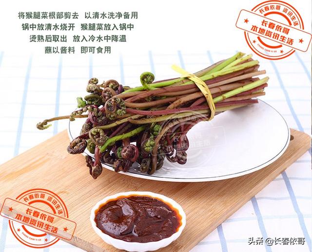 东北野生野菜有哪些，长白山中山野菜——猴子腿