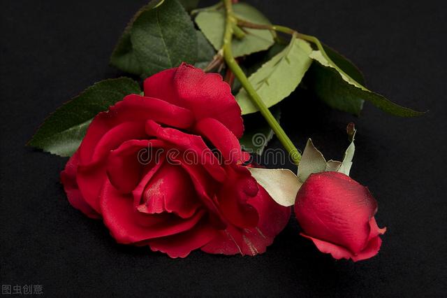 三生有幸遇见你下一句，三生有幸遇见你下一句是什么（写给最爱的人：三生有幸遇见你）