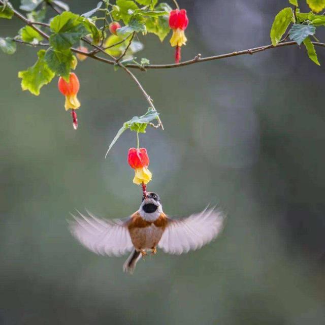 我国第一部诗歌总集，我国第一部诗歌总集是（中国第一部诗歌总集是什么）