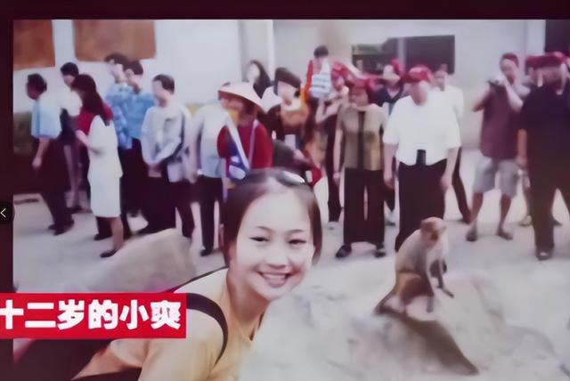郑爽个人资料简介，终究为自己的“目无法纪”付出了代价