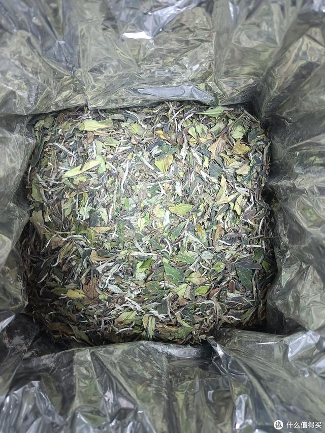 质量好的白茶正宗白茶，寄与爱茶人—品评这两年买的十几款白茶