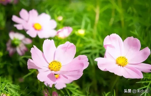 个人特质有哪些，一个人的特质有哪些（往往有以下五个特点）