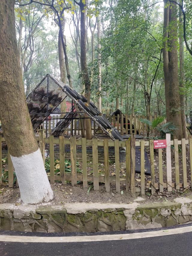 歌乐山森林公园，重庆旅游必去景点（歌乐山国家森林公园）