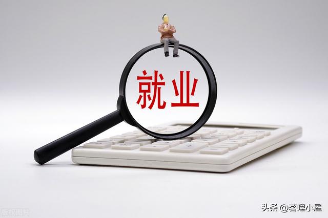 大学生职业生涯规划书范文，大学生职业生涯规划书范文1000字（带你走出毕业求职迷茫带之大学生的职业人生探索）