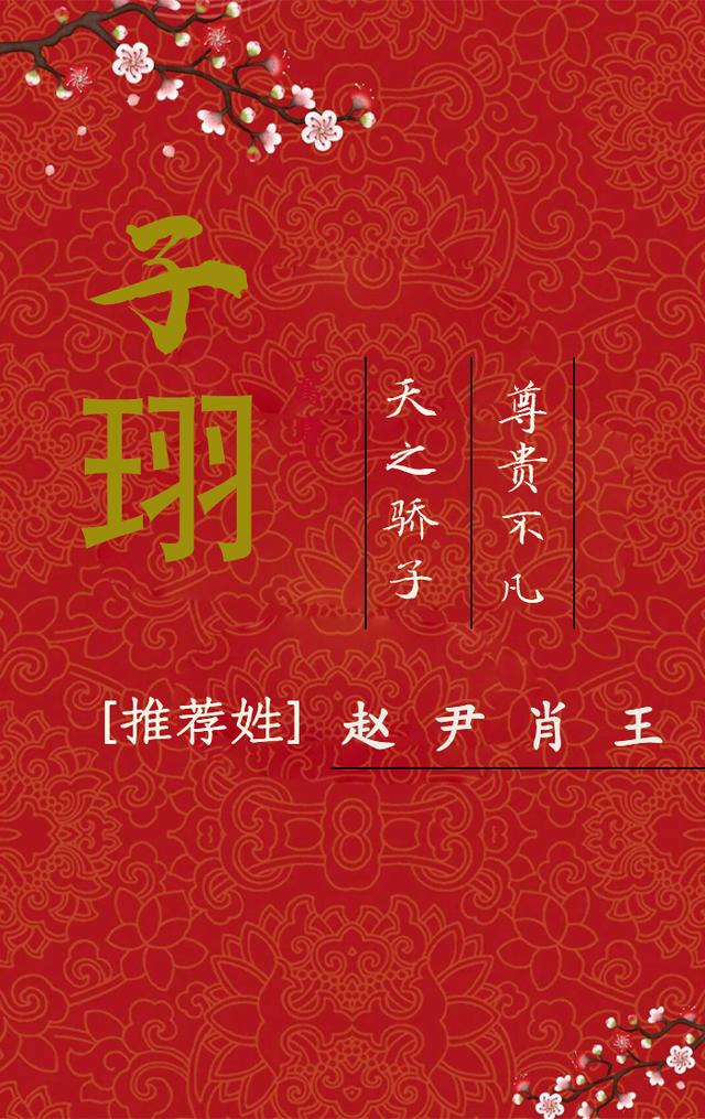 大将之风是什么意思，什么叫大将之风（卓尔不凡的男孩名字）