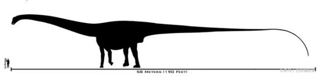 身体最长的恐龙是，身体最宽的恐龙（恐龙的体型为什么那么大）