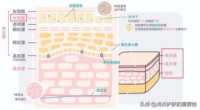 春夏护肤品怎么样，春夏护肤品怎么样适合什么年龄（春夏换季水乳怎么选）