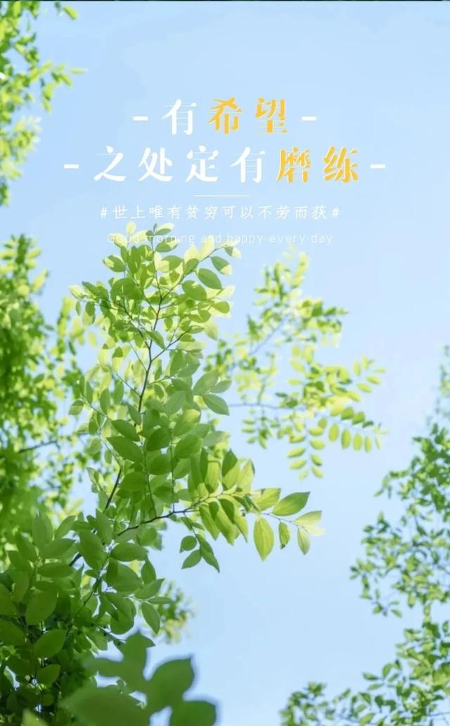 早晨充满正能量的句子，早上优美正能量句子（早上好说说语录图片）