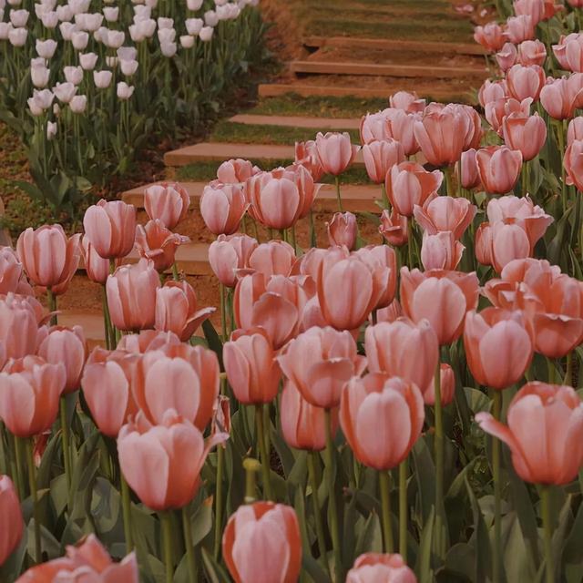 人生哲理的句子经典短句，人生金句,句句戳心（关于人生哲理的句子）