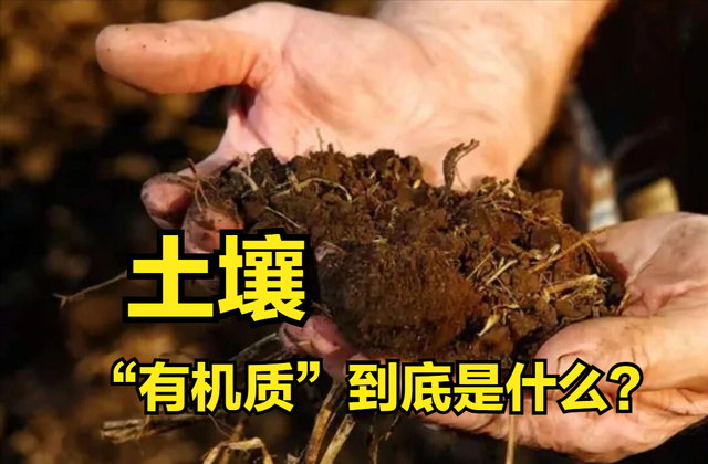 什么叫有机肥，有机肥是什么原料做的（搞种植的都在说“有机质”）