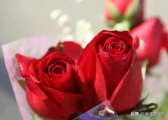 余生有你下一句怎么接，余生有你下一句怎么接最浪漫（你都在我的心里）