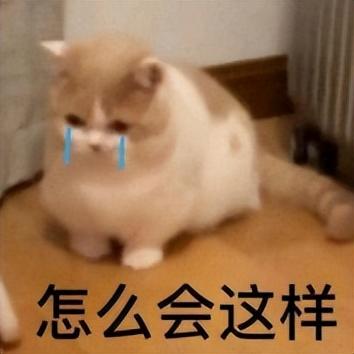 宝宝一天的食谱有什么，婴幼儿一天的食谱（9类热门宝宝食品测评）