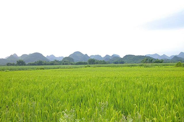 福禄是什么意思，葫芦的寓意和象征（“洗福禄”啥意思）