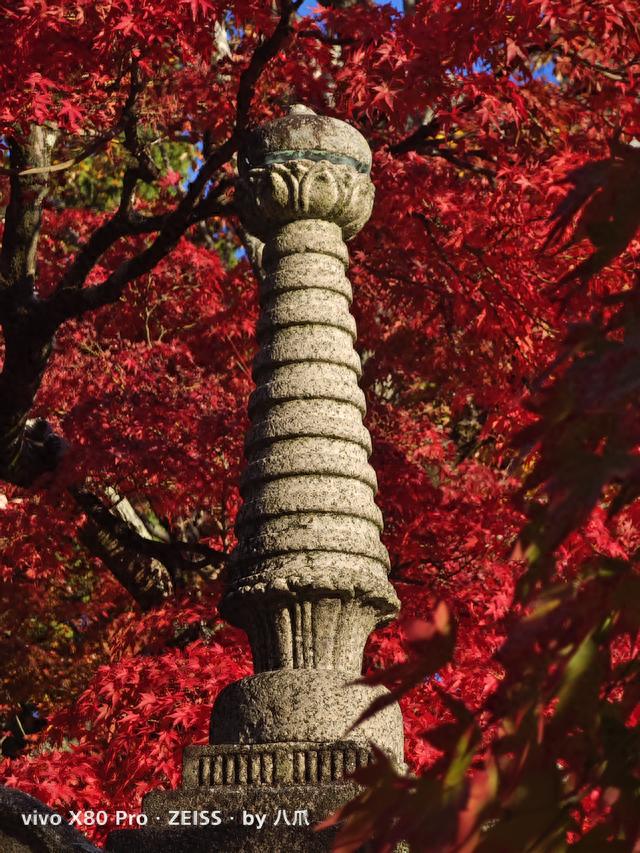 京都旅行｜小众赏枫名所——真如堂