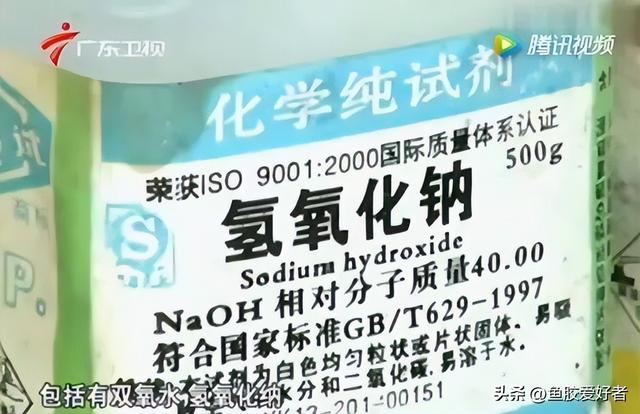鱼胶是什么，鱼胶是什么鱼身上取的（最便宜的鱼胶是什么鱼胶你知道吗）