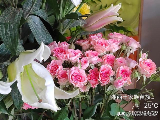 芙蓉镇门票多少钱，芙蓉古镇门票免费时间（自驾游湘西芙蓉镇）