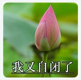 微信头像｜精选朋友圈优质头像，精选优质微信头像大全（头像 ， 朋友圈里最靓的头像）