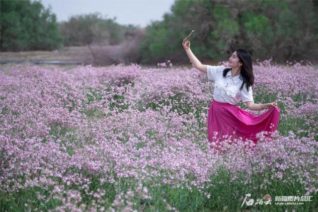 我国最长的河流是什么，世界最长河流排名前十（塔里木河到底有多重要）