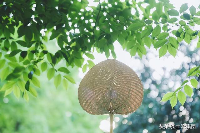 2022年夏至日出时间和日落时间分别是多少 夏至日出日落时间计算，2022年夏至日出时间和日落时间分别是多少（2022年夏至时间具体是几月几号几点几分）