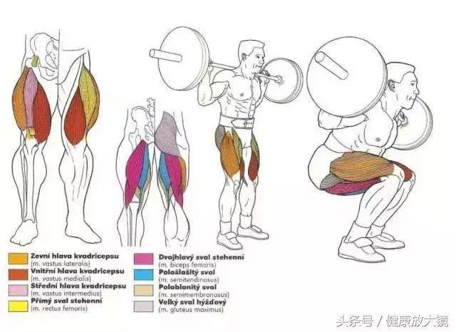 健身器械动作的指导方法，健身器械动作教学（健身房器械动作指南助力做一个“器械健身高手”）