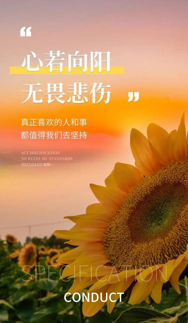 03年属什么生肖，03年属什么（2023年04月03日）